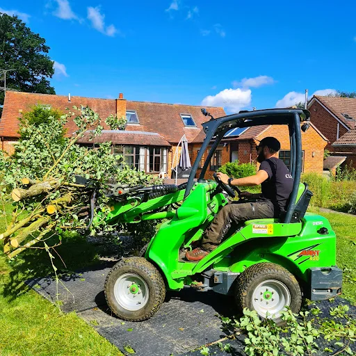 Climbing High Tree Care Ltd photo 7