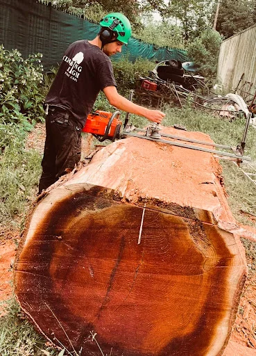 Climbing High Tree Care Ltd photo 8