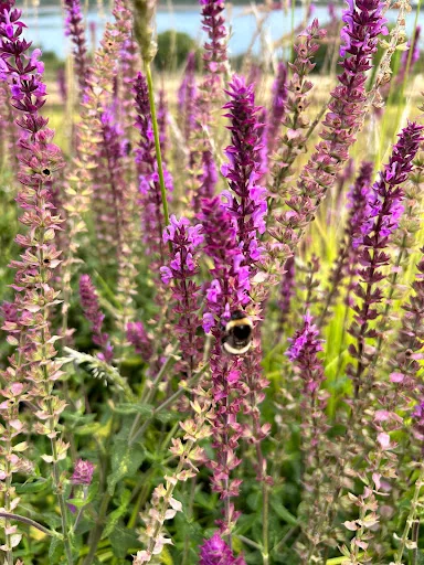 Atlantes Landscapes photo 7