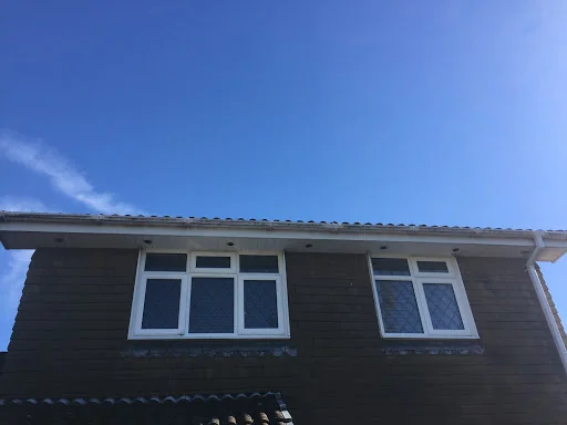 Rise &amp; Shine photo 1