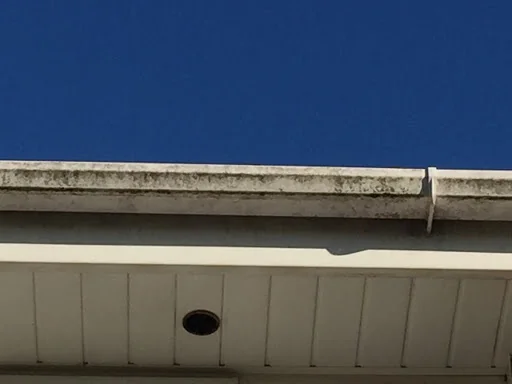 Rise &amp; Shine photo 2