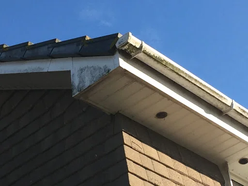 Rise &amp; Shine photo 3