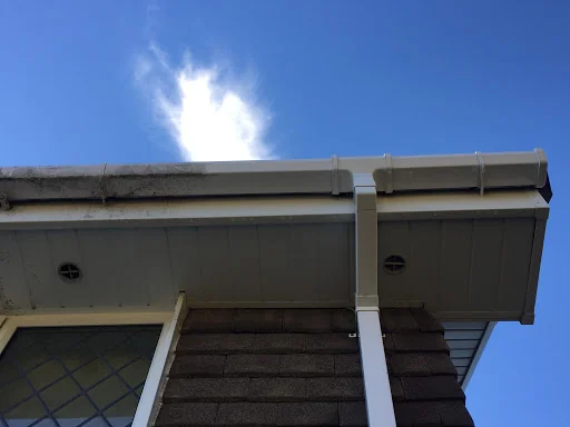 Rise &amp; Shine photo 6