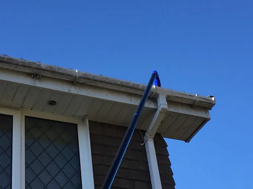 Rise &amp; Shine photo 7