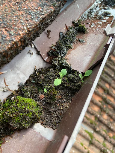 Guttersnipe Ltd photo 1