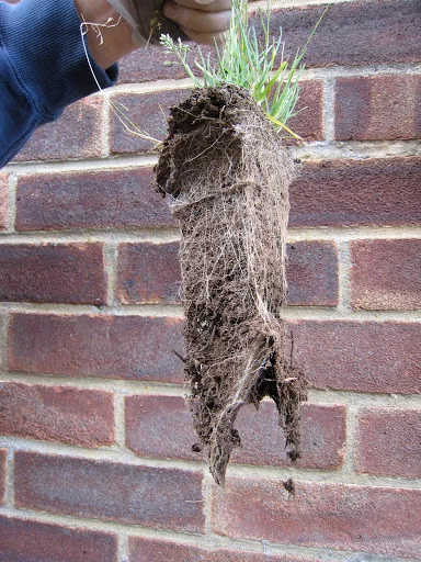 Guttersnipe Ltd photo 3