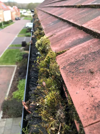 Guttersnipe Ltd photo 6