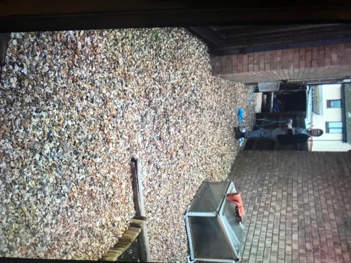 Thomas Landscape photo 1