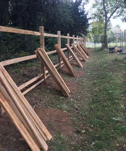 Thomas Landscape photo 2