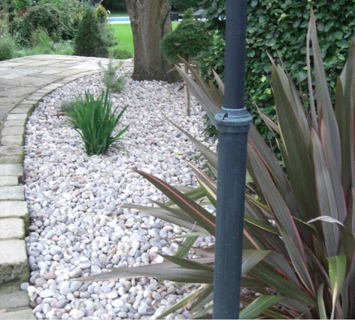 Thomas Landscape photo 4