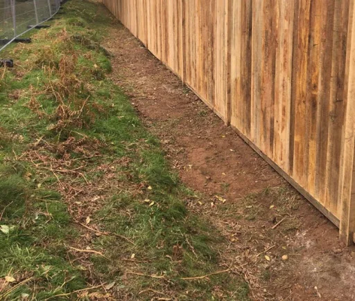 Thomas Landscape photo 5