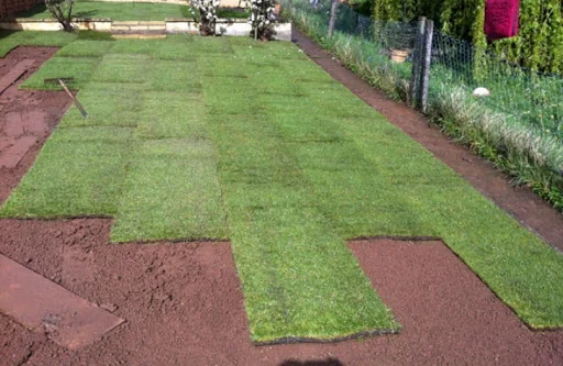 Thomas Landscape photo 7