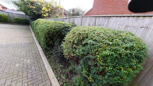 CP Grounds Maintenance Ltd photo 4