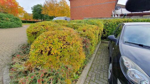 CP Grounds Maintenance Ltd photo 5