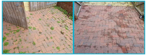 CP Grounds Maintenance Ltd photo 6