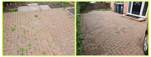 CP Grounds Maintenance Ltd photo 8