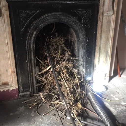 Fire &amp; Ash photo 5