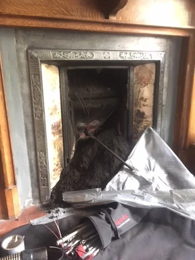 Fire &amp; Ash photo 8