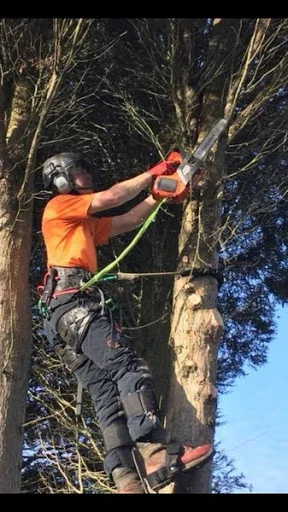 Rock Tree Services photo 5