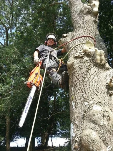 Rock Tree Services photo 7
