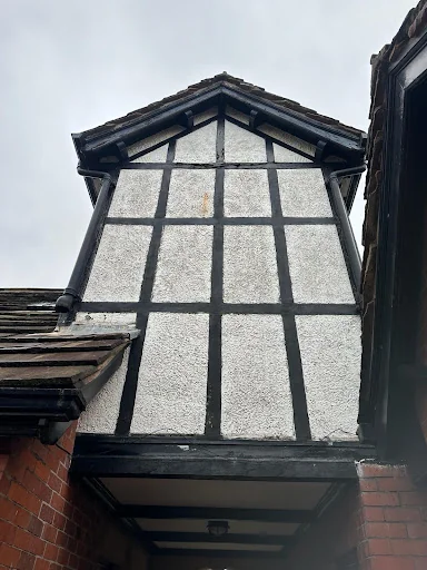 Spic and Span Moss photo 1