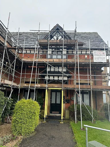 Spic and Span Moss photo 2