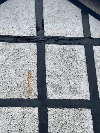 Spic and Span Moss photo 5