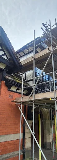 Spic and Span Moss photo 7