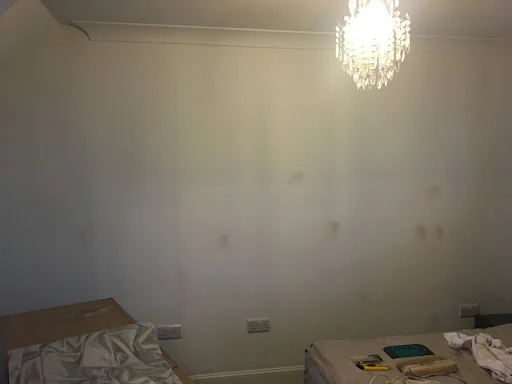 Steven Allison Painter &amp; Decorator photo 7