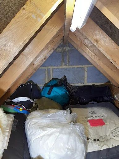 Anglo Pest Control photo 5