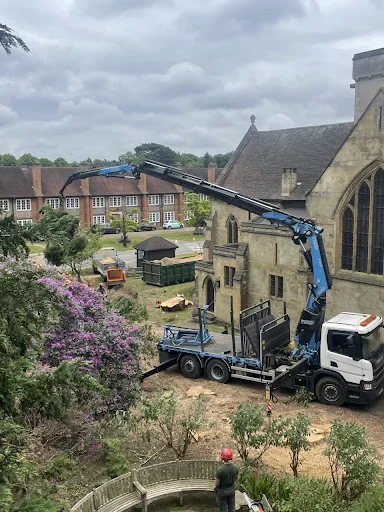 Arb Aspire Tree Care Ltd photo 5