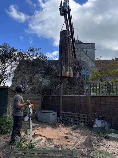 Arb Aspire Tree Care Ltd photo 7