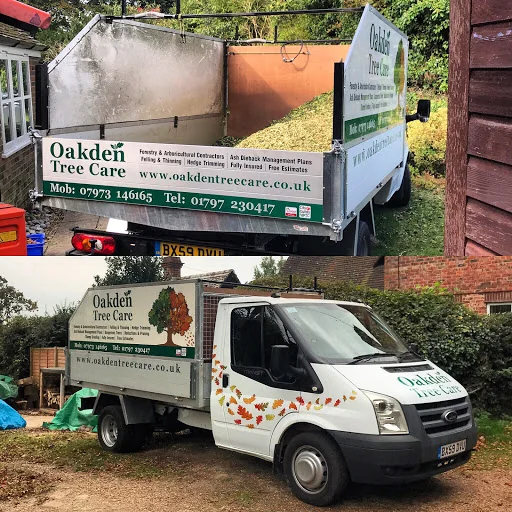 Oakden Tree Care photo 1