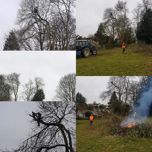 Oakden Tree Care photo 2