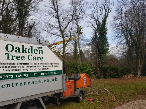 Oakden Tree Care photo 5