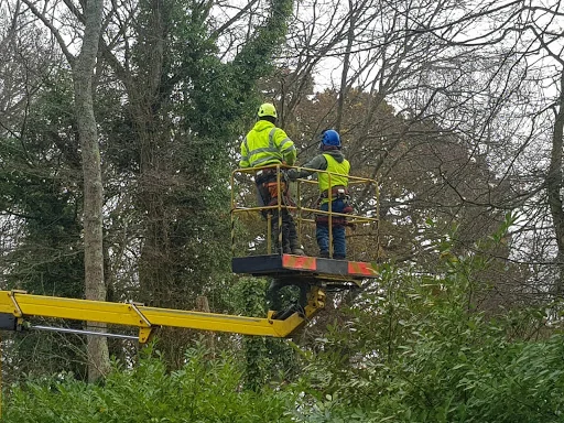 Oakden Tree Care photo 6