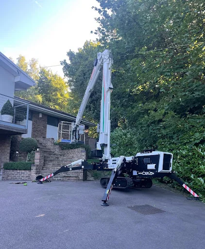 All Angles Tree Care Ltd photo 4