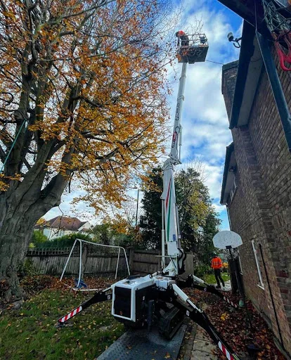 All Angles Tree Care Ltd photo 5