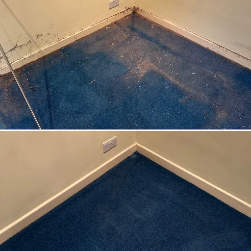 SOS Cleaning Services photo 3