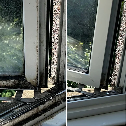 SOS Cleaning Services photo 4