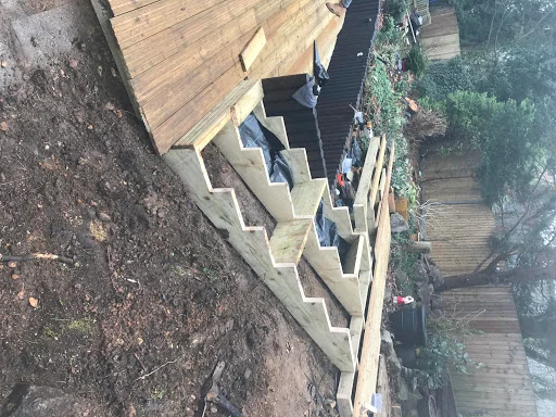 Green Stripes Gardening photo 6