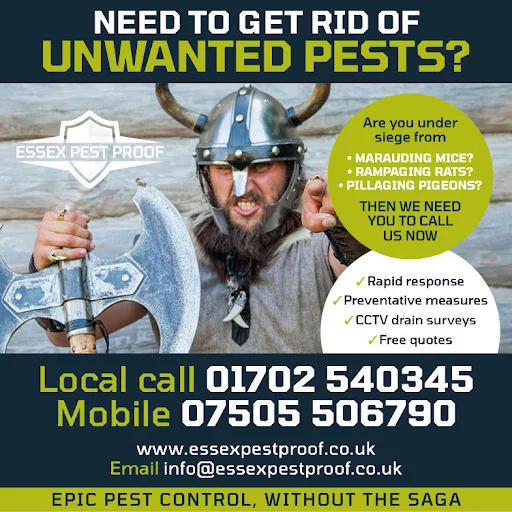 Essex Pest Proof Ltd photo 3