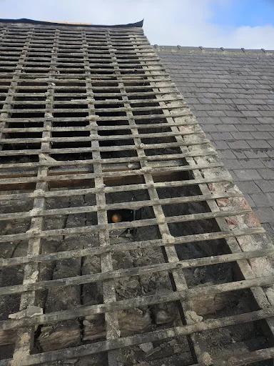 STOKER PROPERTY  LTD photo 3