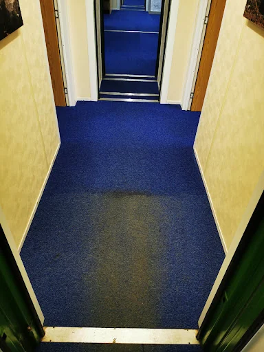 DC CARPET CLEANING LTD photo 3