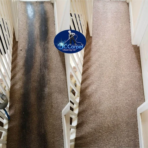 DC CARPET CLEANING LTD photo 5