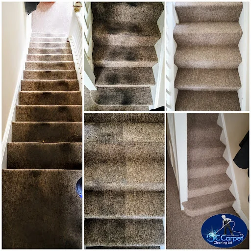 DC CARPET CLEANING LTD photo 6