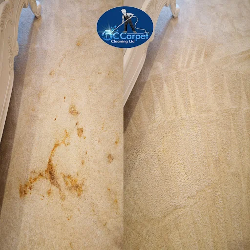 DC CARPET CLEANING LTD photo 7