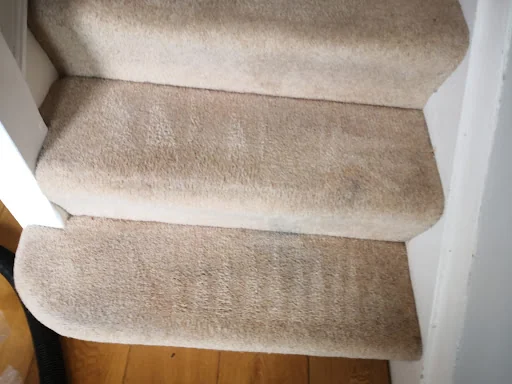 DC CARPET CLEANING LTD photo 8