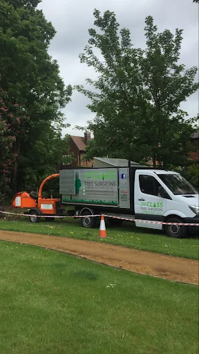 First Class Tree Surgeons photo 7