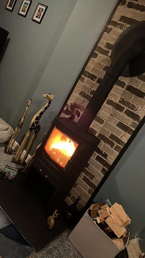 Ecotechstoves And Chimney Specialist Ltd photo 4